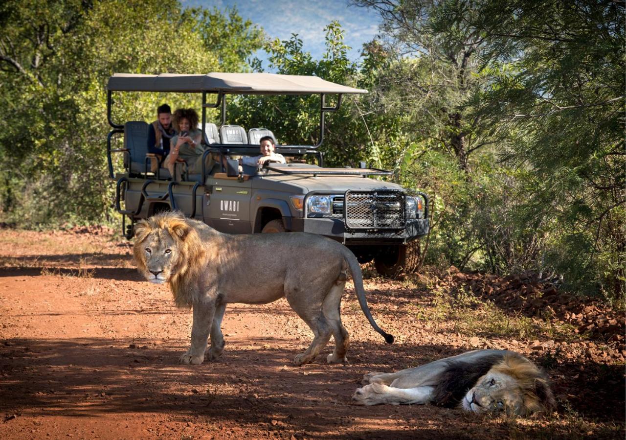 Babohi At Qwabi Private Game Reserve By Newmark Bela-Bela Ngoại thất bức ảnh
